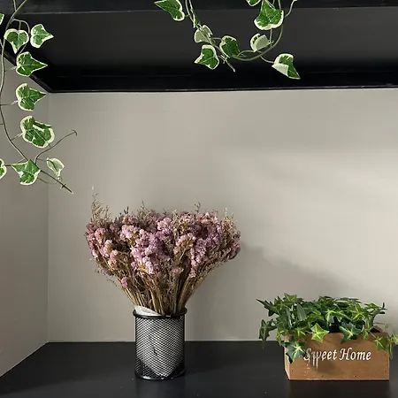 Villa 乌龙茶屋 Osaka Esterno foto