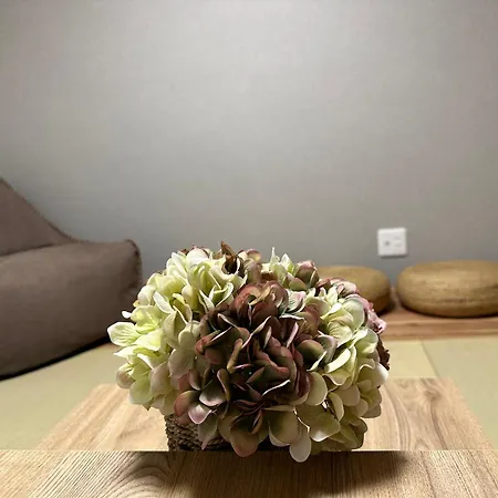 Villa 乌龙茶屋 Osaka Esterno foto